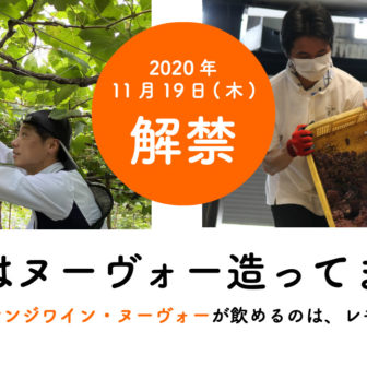 ヌーヴォー特集2020